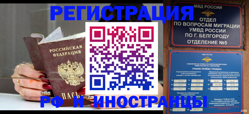 прописка в Ртищево